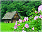 
���ζ��ʤդ뤵�ȡ�
��������������졡����äǷ��
��������������ʡ��������
��
�����ɤҤ����λ���
����ʫ��ꤷ�����
��������̴�Ϻ���ᤰ��ơ�
��������˺�줬�����ζ���
��
�����������ڳ��� ����������ɡ�
